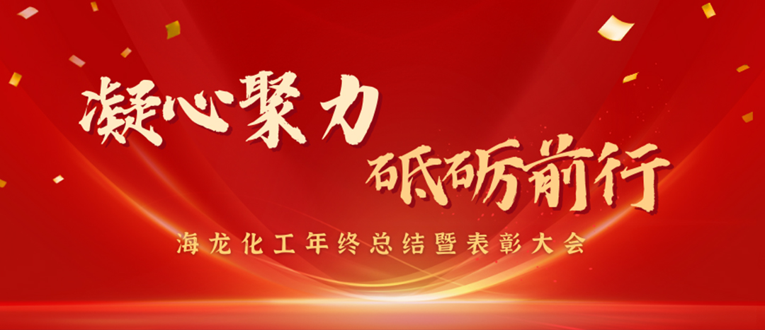 表彰 | 凝心聚力，砥礪前行，海龍化工年終總結暨表彰大會圓滿舉行