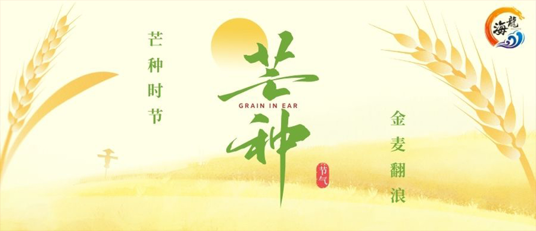 芒種 | 芒種風(fēng)起 麥浪香